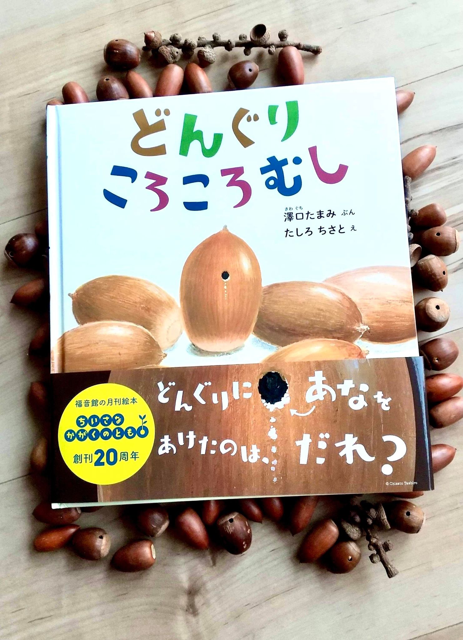 『どんぐりころころむし』 絵本専門店グリム〈静岡・沼津〉 『どんぐりころころむし』 絵本専門店グリム〈静岡・沼津〉